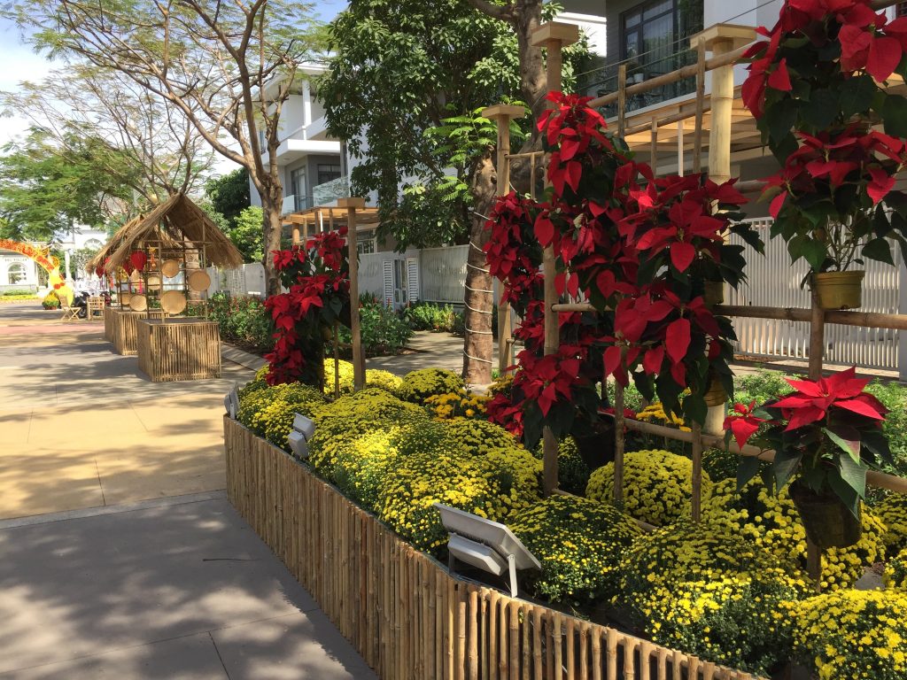 VẼ TRANH TƯỜNG 3D MỸ THUẬT TRỌNG TÍN ART