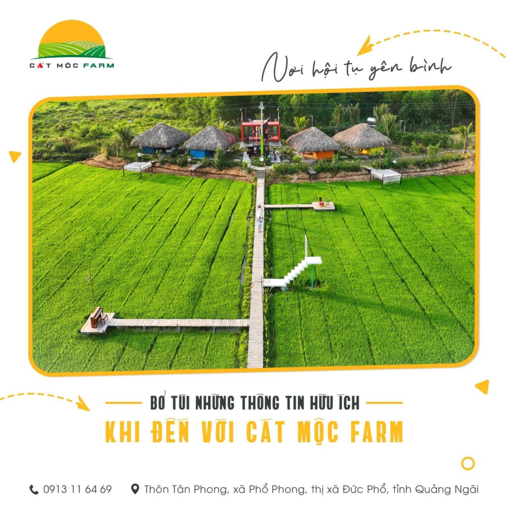 VẼ TRANH TƯỜNG 3D MỸ THUẬT TRỌNG TÍN ART